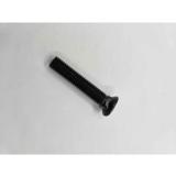 Auraruuvi M10x55, 427316