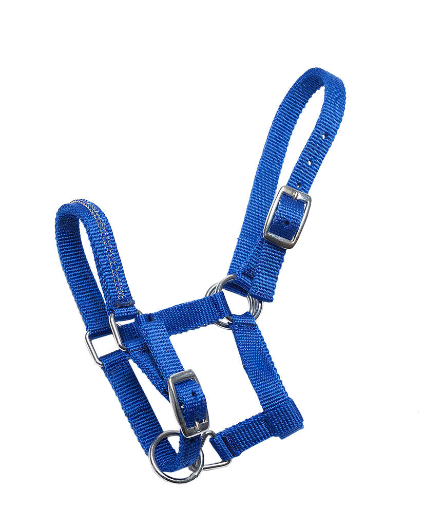 Varsariimu Crystal Horse Comfort