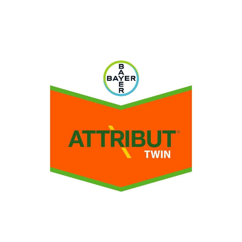 Attribut Twin