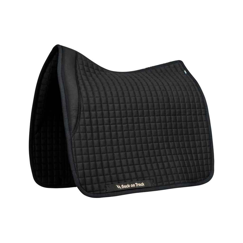 Back on Track No.3 koulusatulahuopa full