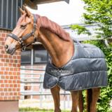 Back on Track Rhyolite lisätoppa 100g