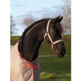 Bucas Dublin riimu, beige K25