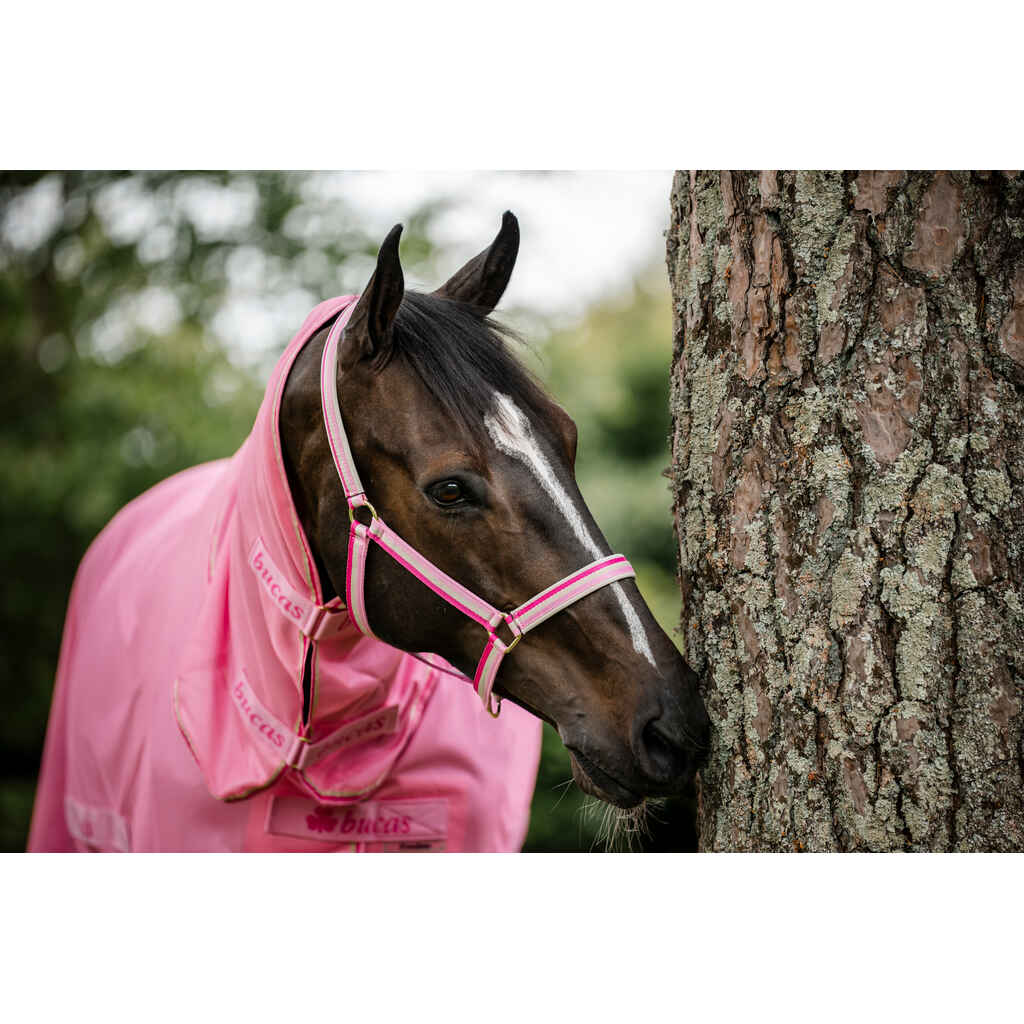 Riimu Bucas Dublin pinkki