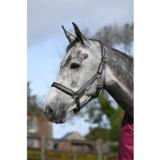 Bucas Dublin riimu, kausivärit syksy 2025