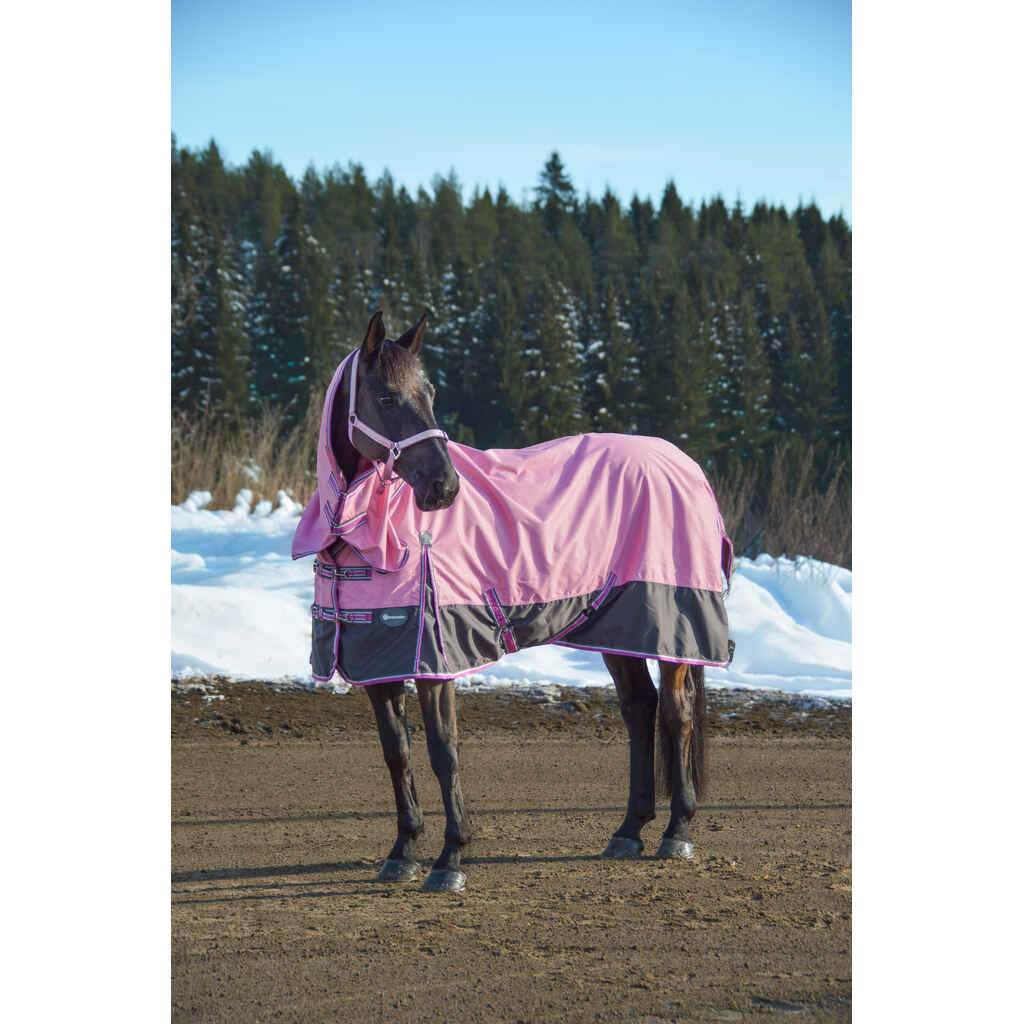 Sadeloimi EQCode fullneck, värilajitelma