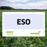 Siemenherne Eso puhdas 800 kg