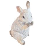 Pupu 13x9x15 cm lajitelma