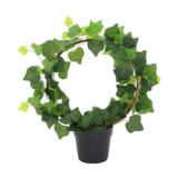 Muratti ruukussa 30x10x32 cm