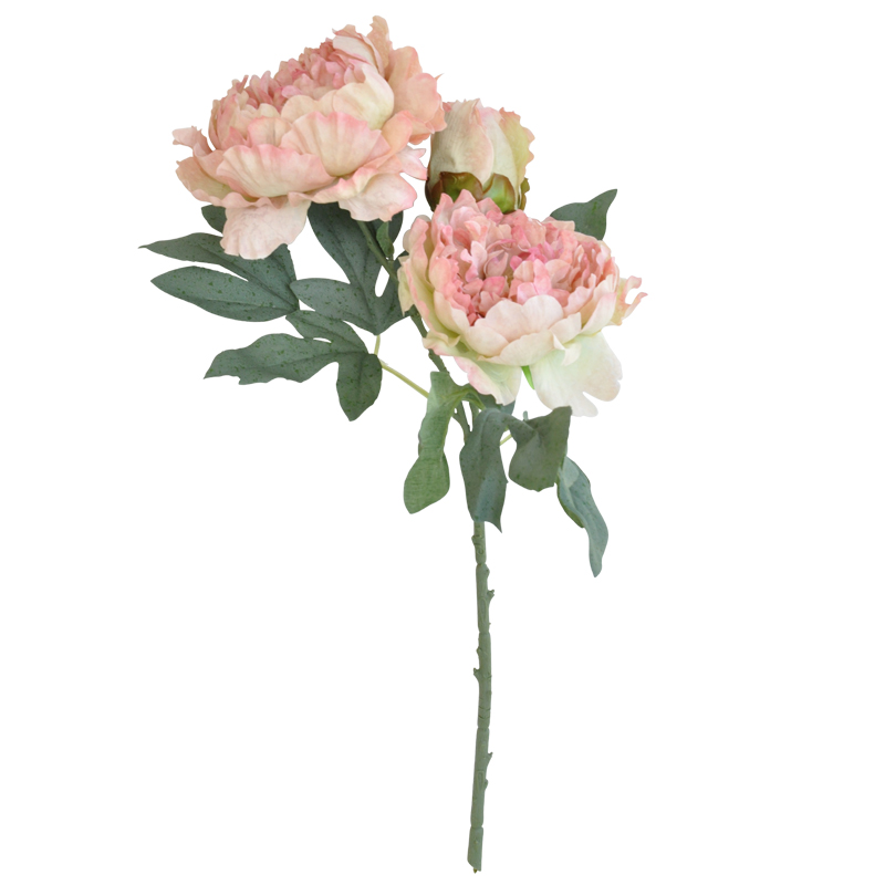 Pioni 51 cm vaaleanpunainen