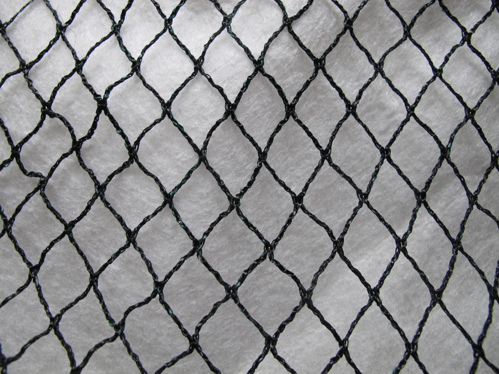 Lintuverkko PRO 300 m2 (6x50 m)