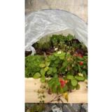 Lavakauluksen metallikaaret 2kpl