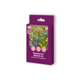 Kukkaniitty Flowers for Bees and Co