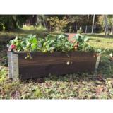 Lavakaulus tumma, 20x80x120 cm