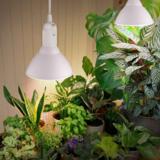 Strömsö kasvilamppu LED 15W