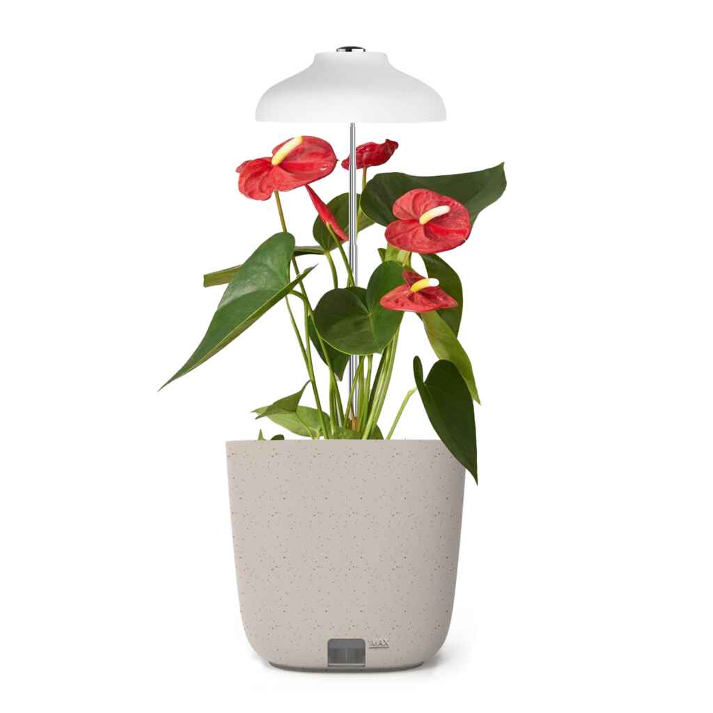 Strömsö yrttiruukku kasvivalolla