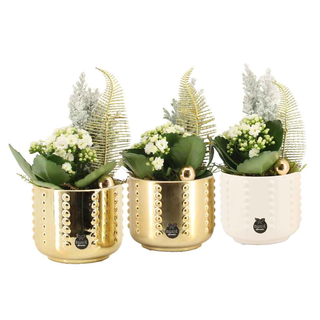 Tulilatva keramiikassa