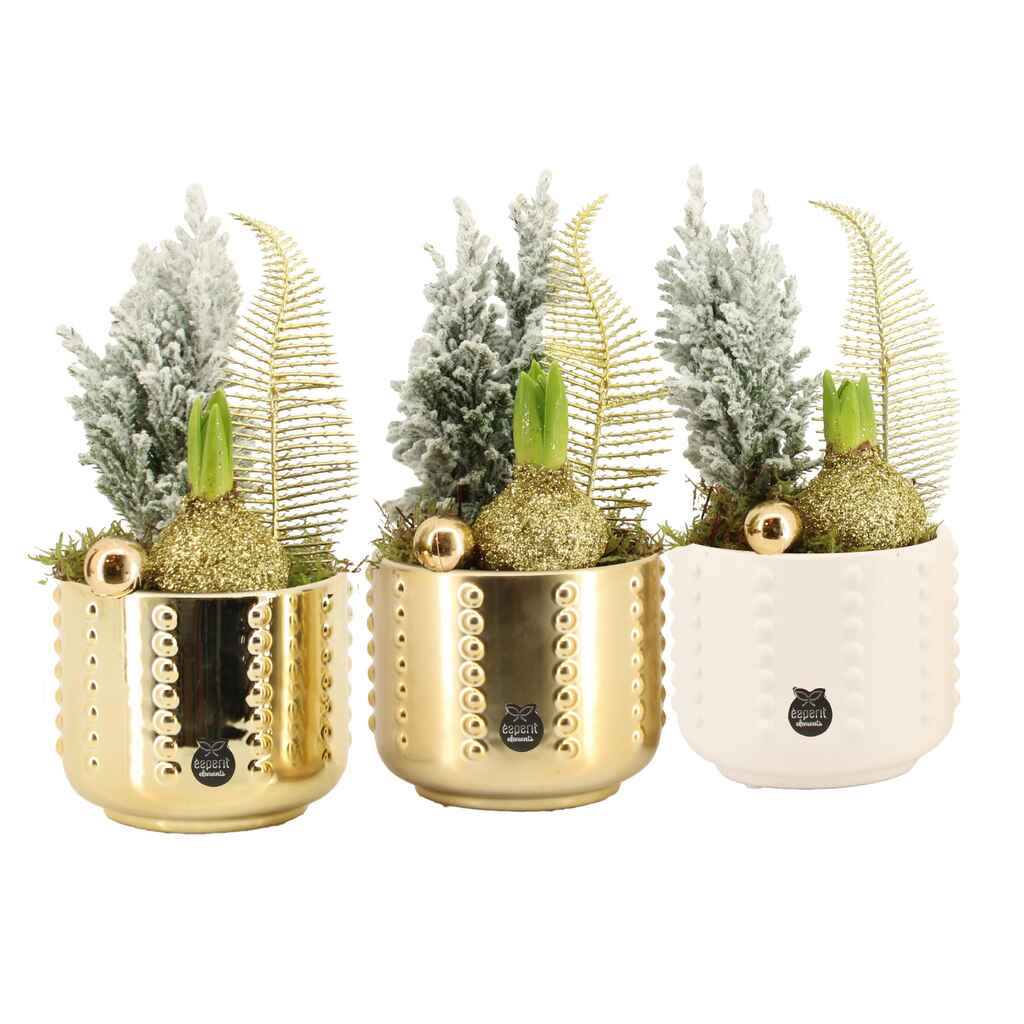 Jouluistutus kimalle