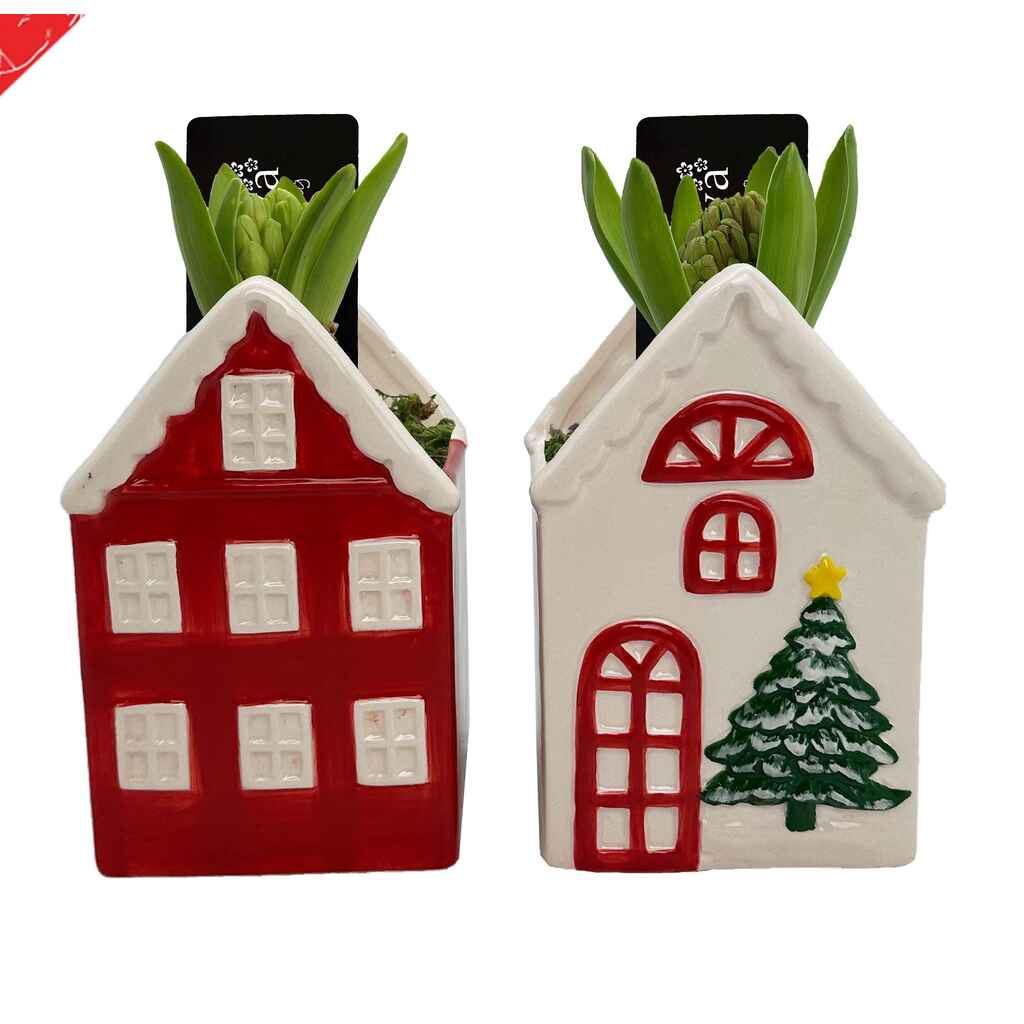 Talokeramiikassa hyasintti