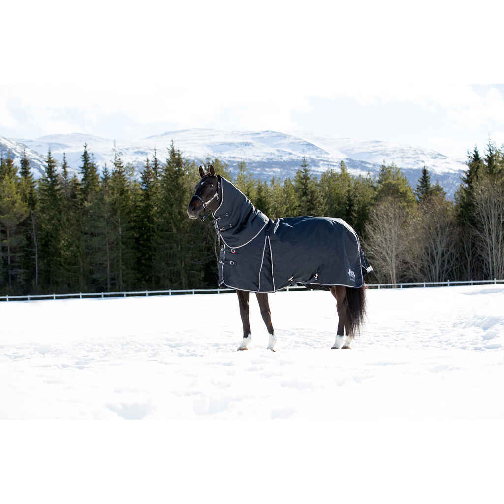 B Vertigo Georgina 400g talviloimi kaulakappaleella