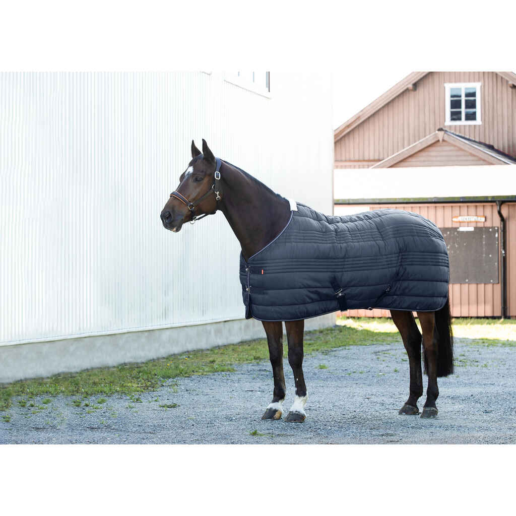 Horze Kingsley talliloimi 300g