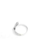 Letkukiristin, AH170895