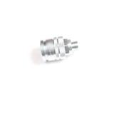 Pikaliitin naaras 1/2, AL172304