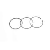 Männänrengassarja, AR55760