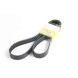 Moottorin apulaitehihna, R503814