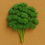 Persilja Extra Moss Curled 2 1 kg