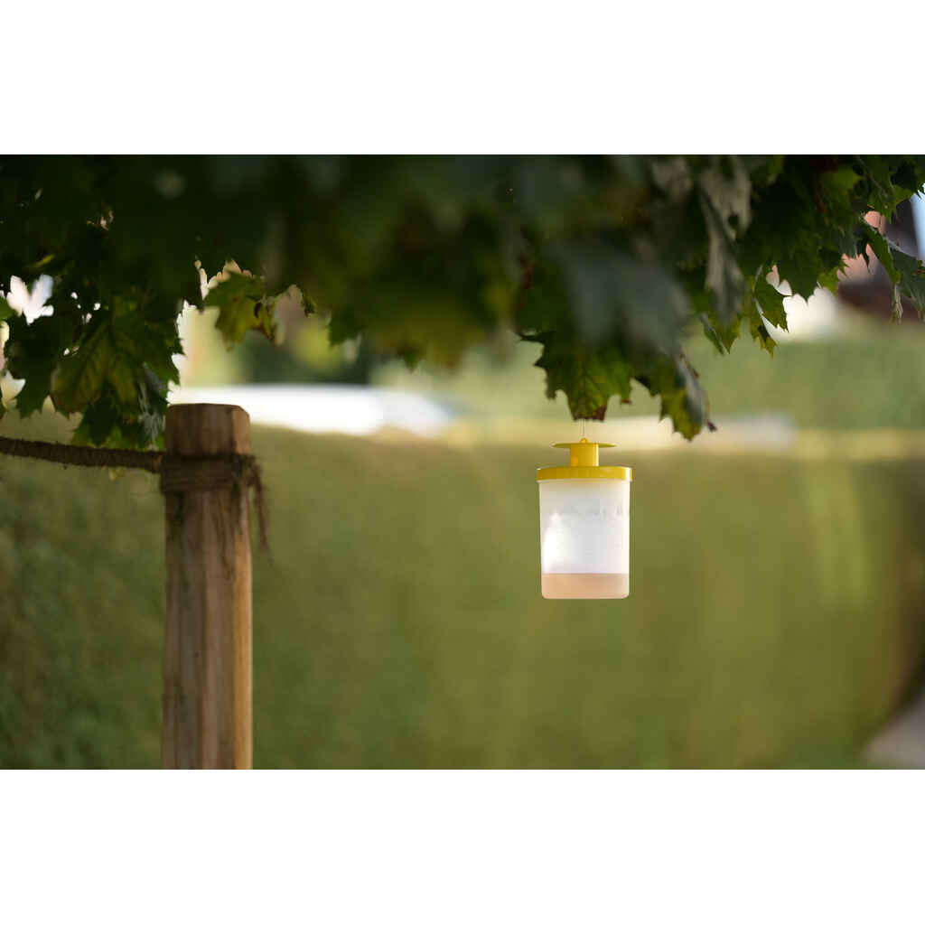 Kärpäspyydys Cit Flycage3