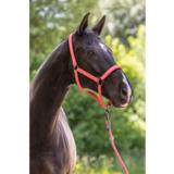 Covalliero riimunnaru paniikkilukolla K25