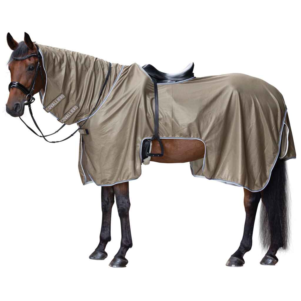 Covalliero ratsastus- ja hyönteisloimi 145cm