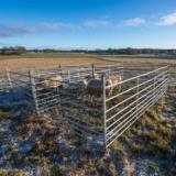 Lammasaitaelementti sinkitty 2m