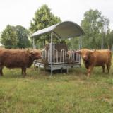 Ruokintakatos, lapatuet, 12 paikkaa