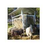 Ruokintahäkki lampaille katoksella