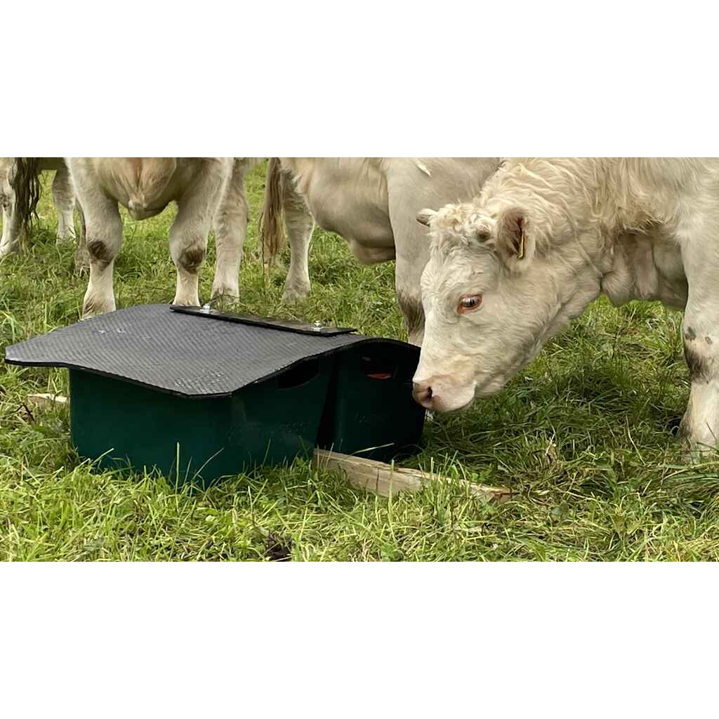 Kivennäisruokkija Combifeeder