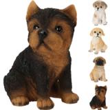 Koriste koira, lajitelma