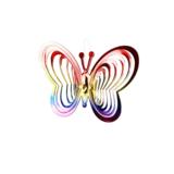 Linnunpelotin perhonen