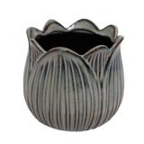 Ruukku turkoosi kukka