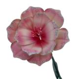 Koristekukka vaaleanpunainen 81 cm