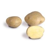 Siemenperuna Timo 30-40 mm