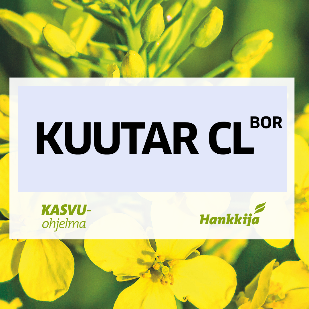 Kuutar kevätrypsi