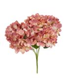 Hortensia vanha rosa 48 cm