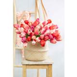 Tulppaanilajitelma Pride Bouquet, 25 sipulia/pussi