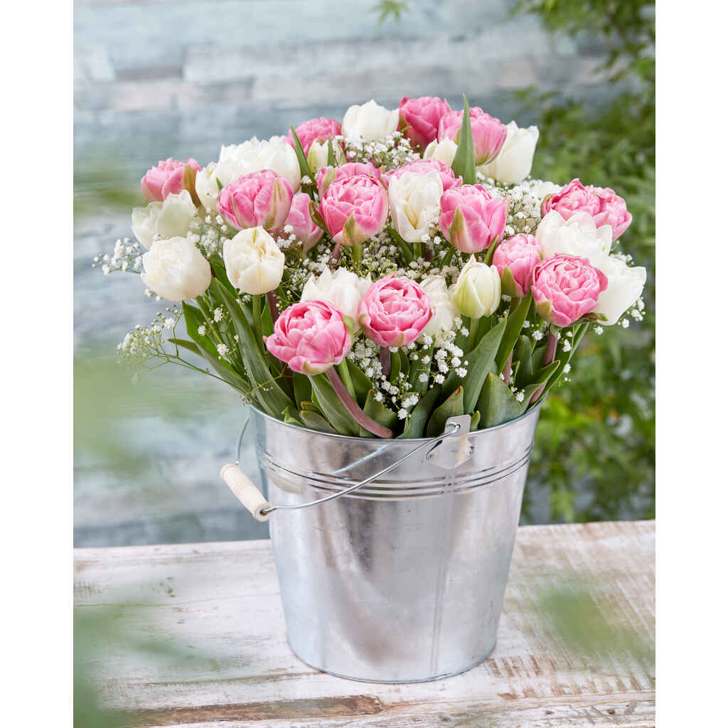 Tulppaani Romantic-lajitelma