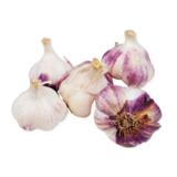 Kotimainen talvivalkosipuli Germidour 3 kpl/pussi