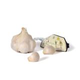 Talvivalkosipuli Thermidrome 1 kpl