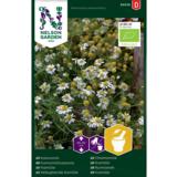 Kamomillasaunio, luomu