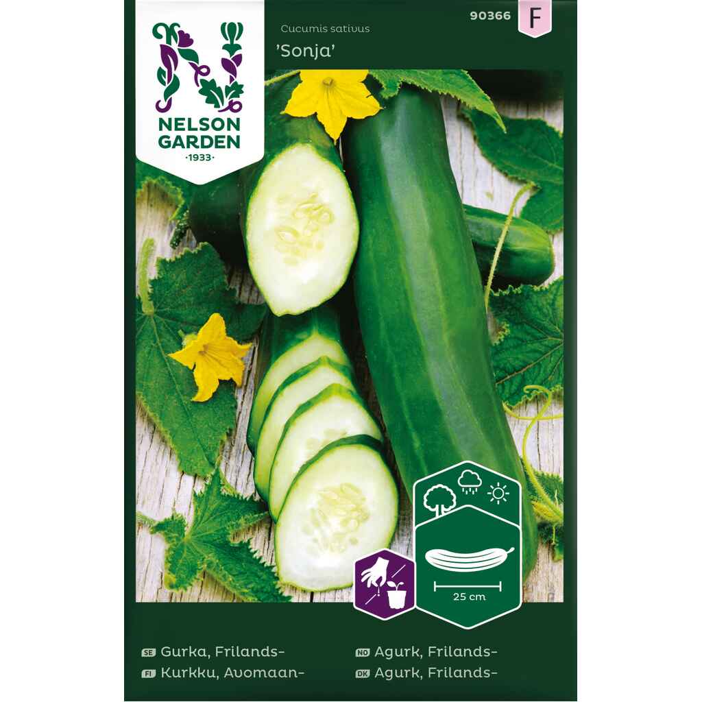 Avomaankurkku 'Sonja'