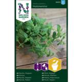 Minttu, 'Multimentha'